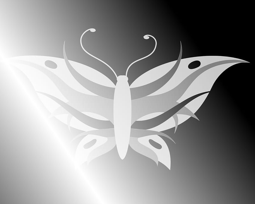 나비 - 검정, 흰색, 단순, 음영, 회색, 나비 HD 월페이퍼