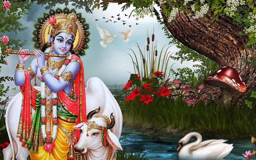Lord Krishna. God Krishna Background, Lord Krishna PC HD wallpaper