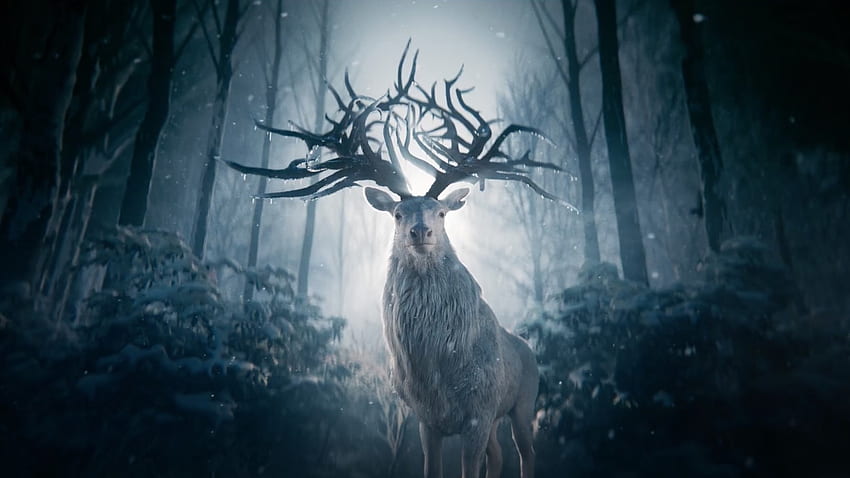 Why You Should Be Excited For Netflix's Shadow And Bone HD wallpaper