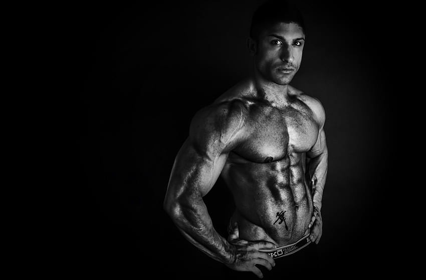 Man, muscle, model, body, male HD wallpaper