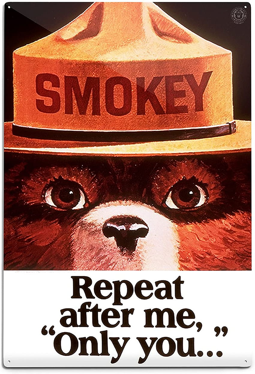 Smokey Bear, repita depois de mim, somente você, pôster vintage (poster de arte de parede, decoração de impressão digital): pôsteres e impressões, Smokey the Bear Papel de parede de celular HD