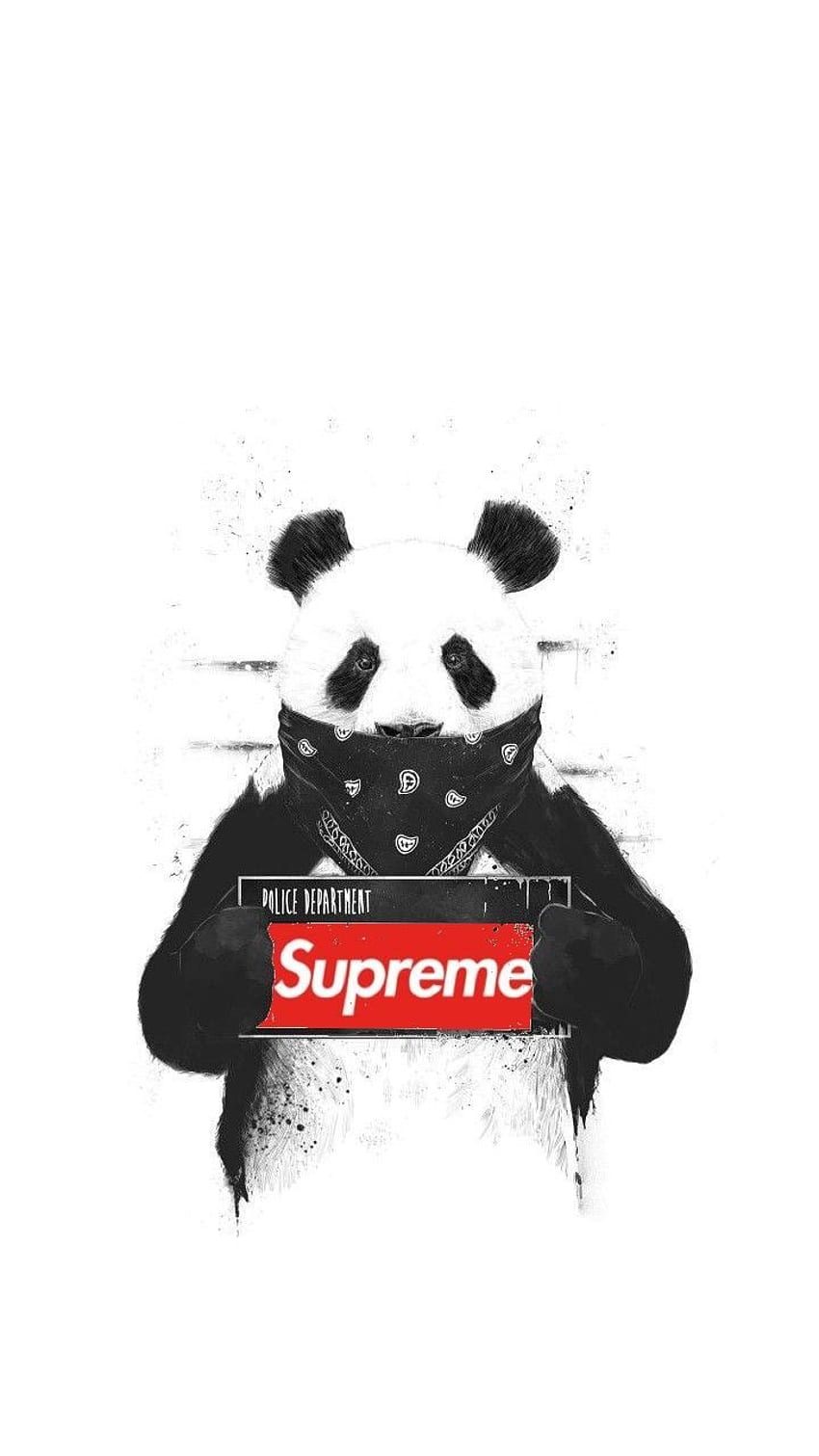Panda supreme. Seni jalanan, Gambar serigala, Karya seni fantasi, Gangster Panda HD phone wallpaper
