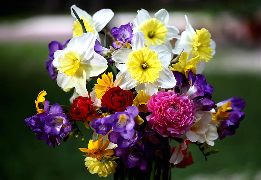 Fleurs, Roses, Narcissussi, Bouquet, sia Fond d'écran HD