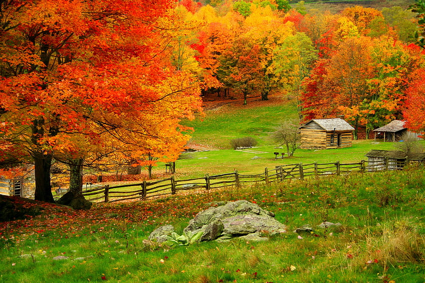 Jesień na wsi, kolorowa, skłon, upadek, kolory, spokojna, trawa, góra, chaty, ogrodzenie, drzewa, jesień, wieś, listowie Tapeta HD