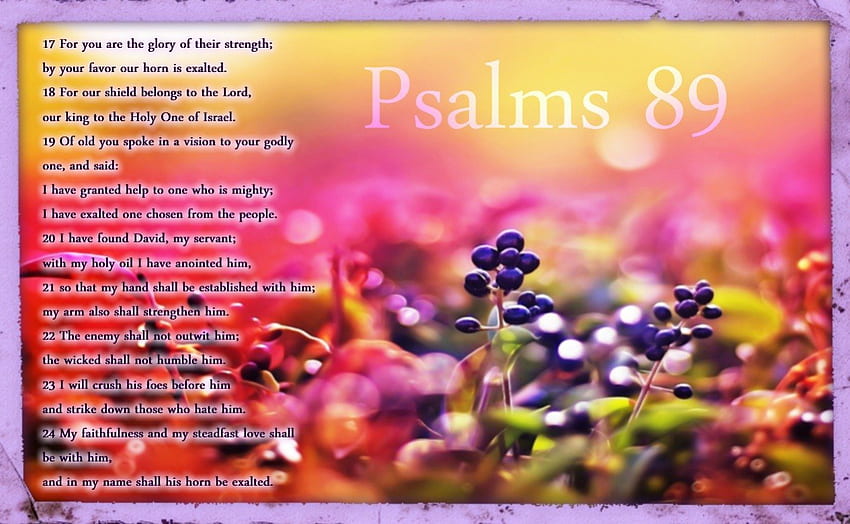 Psalms 89, holy spirit, god, bible, jesus, pslams, flowers, scriptures, bible verses HD wallpaper