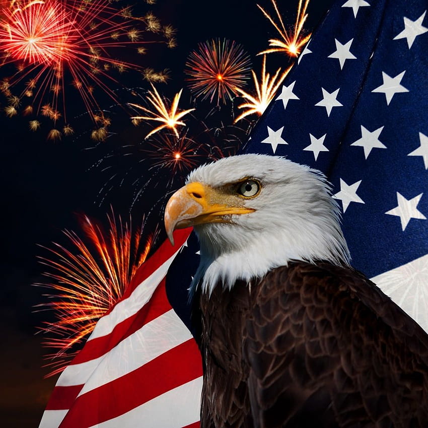 ธงชาติอเมริกา. ดอกไม้ไฟ. นกอินทรีหัวล้าน. : รักชาติ, พระคัมภีร์รักชาติ วอลล์เปเปอร์โทรศัพท์ HD
