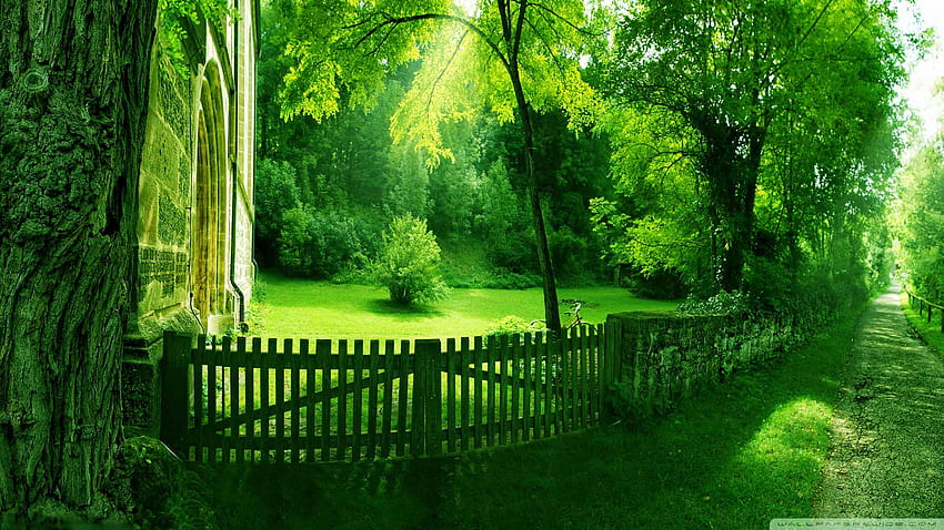Nature High Resolution Green On für iPhone HD-Hintergrundbild