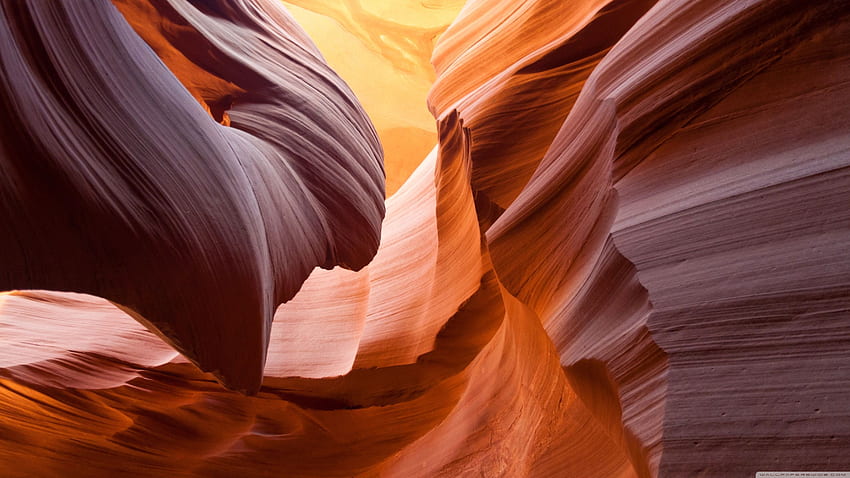 Antelope Canyon Ultra Background for U TV : & UltraWide & Laptop : Tablet : Smartphone HD wallpaper