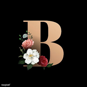 Classic and elegant floral alphabet font letter B vector., Cute Letter B HD  phone wallpaper | Pxfuel