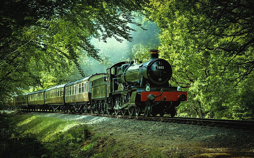 Train, trees, old, locomotive HD wallpaper