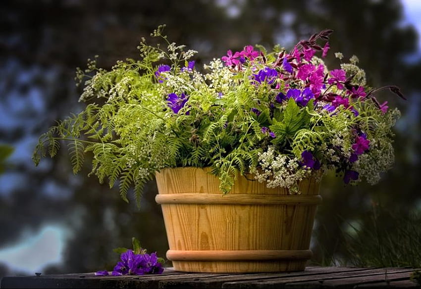 WOODEN FLOWER POT, colorful, flower, floral, nature, pot HD wallpaper