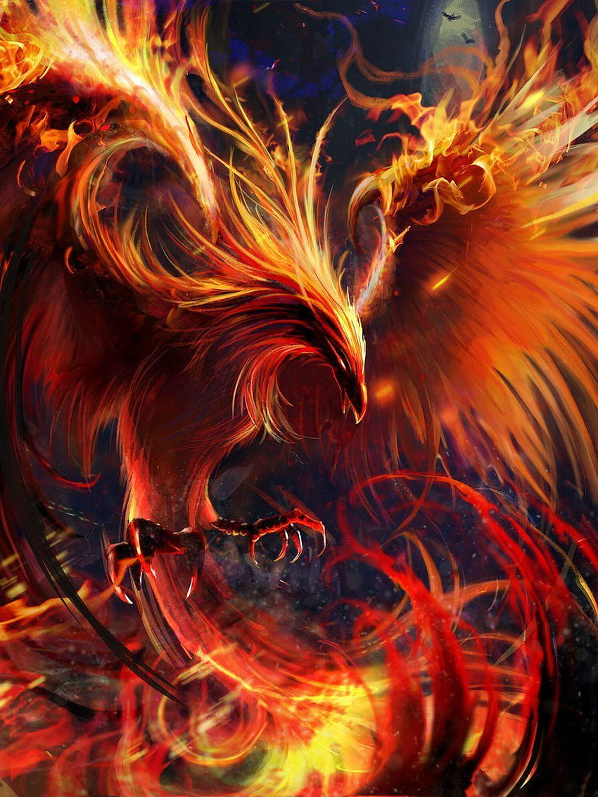 Ramon di Twitter. Seni burung Phoenix, karya seni Phoenix, Phoenix, Mythical Phoenix wallpaper ponsel HD