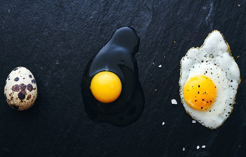 Egg, Fried Egg HD wallpaper | Pxfuel