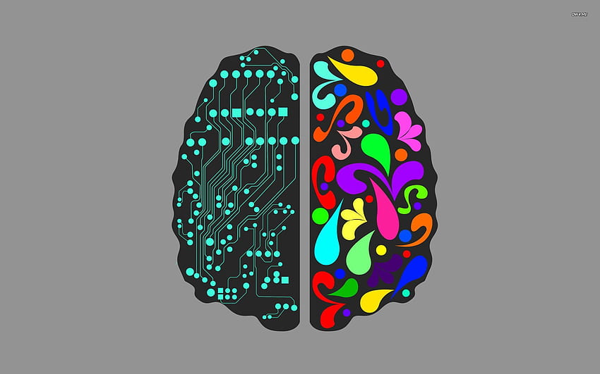 左脳右脳[]、モバイル、タブレット用。 左脳を探る 右脳。 左脳 右脳 , 頭の体操 , 脳 高画質の壁紙