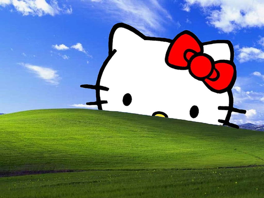 Windows Bliss Hello Kitty., PC Hello Kitty Sfondo HD