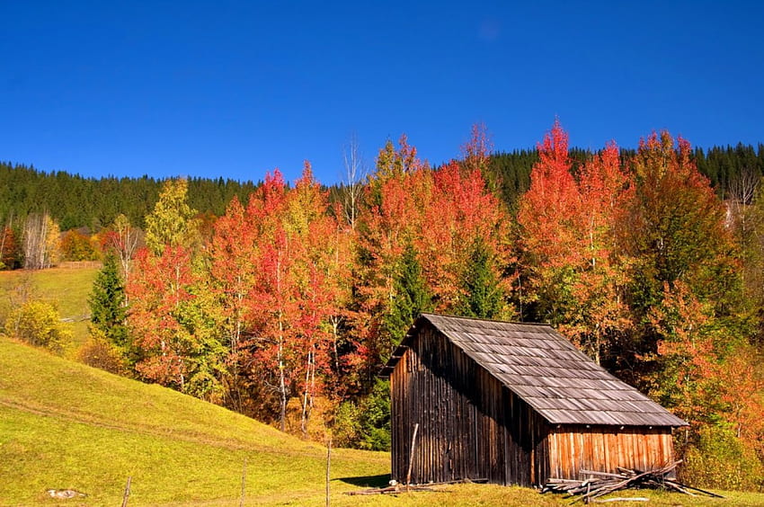 Hut in sonbahar dağ, ahşap, renkli, güzel, mevsim, ağaçlar, sonbahar, tepeler, yamaç, ev, sonbahar, güzel, yalnız, kabin, düşme, hut, doğa, gökyüzü, dağ manzarası, yazlık, sevimli, orman, yeşillik HD duvar kağıdı