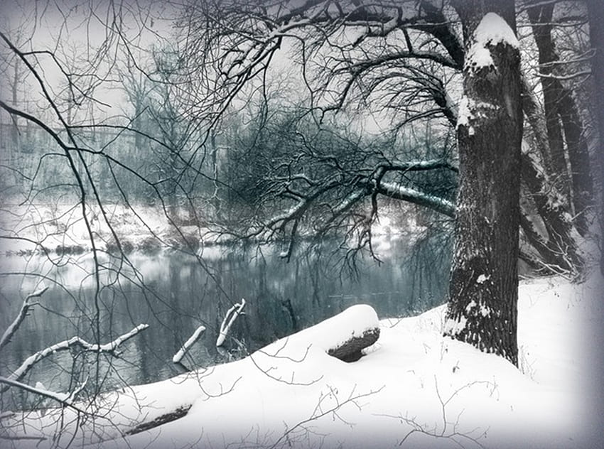 Winter Calm, river, snow, landscape, trees, nature, peaceful HD wallpaper