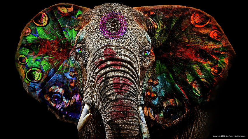 Metaphysical Spiritual Surreal Sacred Geometry Animals Ai Frontal View - Resolution: HD wallpaper