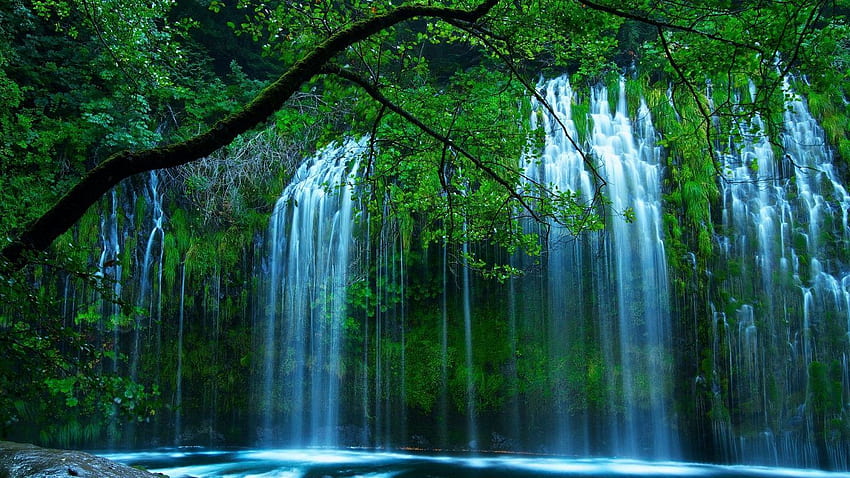 Wodospady: Wodospady z mchu Japońskie ogrody z kamieniami w stanie Oregon Tapeta HD