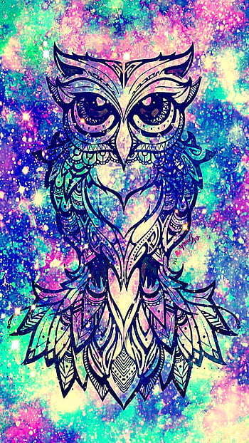 Galaxy Owl Wallpaper Gifts  Merchandise for Sale  Redbubble