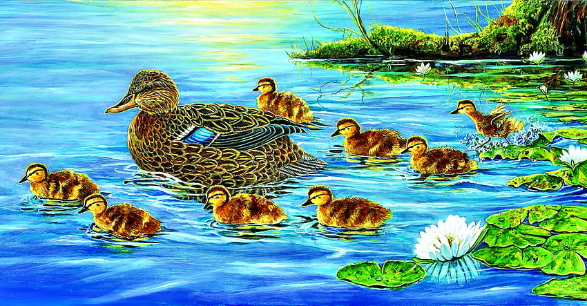 Spring Duckling Parade FC, животно, птица, изкуство, красиво, илюстрация, патета, птица, произведение на изкуството, широк екран, дива природа, , водна лилия, патица, вода HD тапет