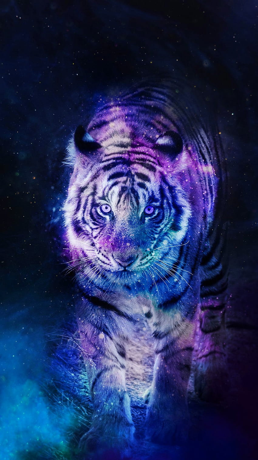 Tigre, blu, gattone, animale selvatico Sfondo del telefono HD