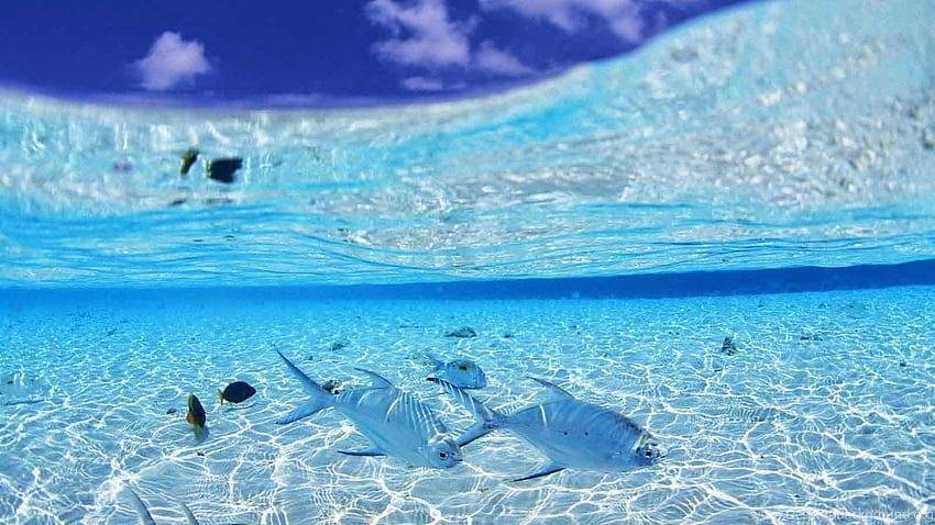 Klares Wasser Hintergrund Ihrer Wahl Hintergrund, klarer Ozean HD-Hintergrundbild