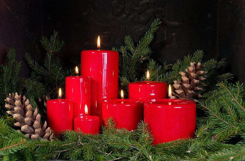 Празници, Шишарки, Клонки, Иглички, Коледни свещи, Новогодишни свещи HD тапет