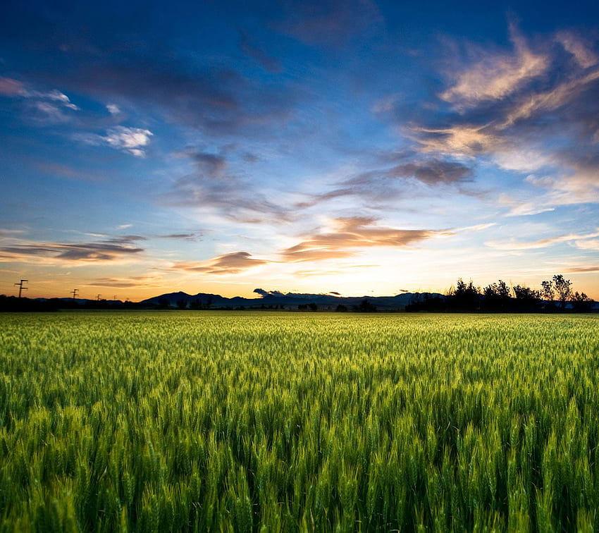 Agriculture Photos Download The BEST Free Agriculture Stock Photos  HD  Images