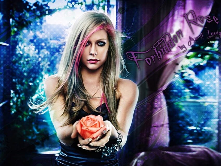 Avril Lavigne, rose, celebrity, model, blue eyes, girl HD wallpaper