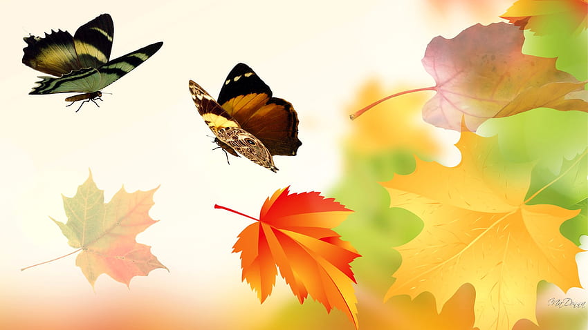 나비, 날개, 나뭇잎, 가을, 대학 HD 월페이퍼