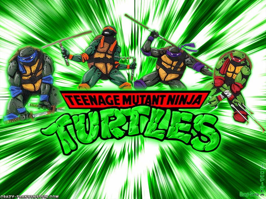 PC Teenage Mutant Ninja Turtles Top (BsnSCB Gallery), Anime Ninja Turtles HD wallpaper