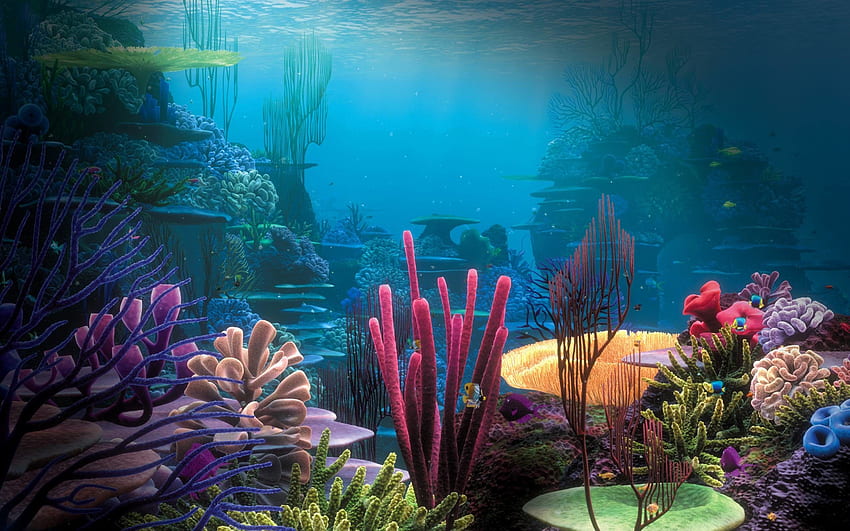 Подводен океан, красива тропическа подводна вода HD тапет