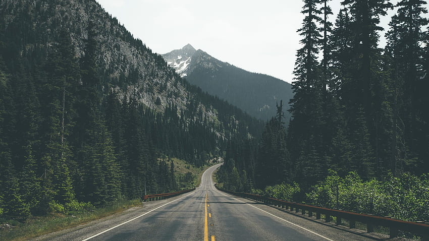 Jalan berliku abu-abu dan hitam melewati pegunungan, Forest Mountain Wallpaper HD