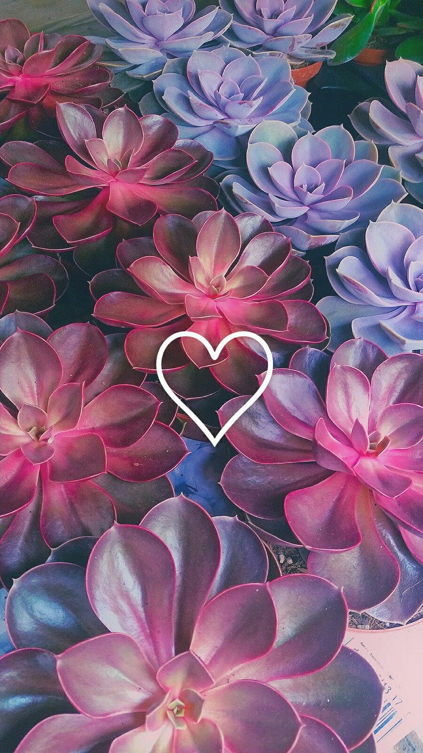 Aesthetic Flower Background, Cute Aesthetic Flower HD phone wallpaper |  Pxfuel