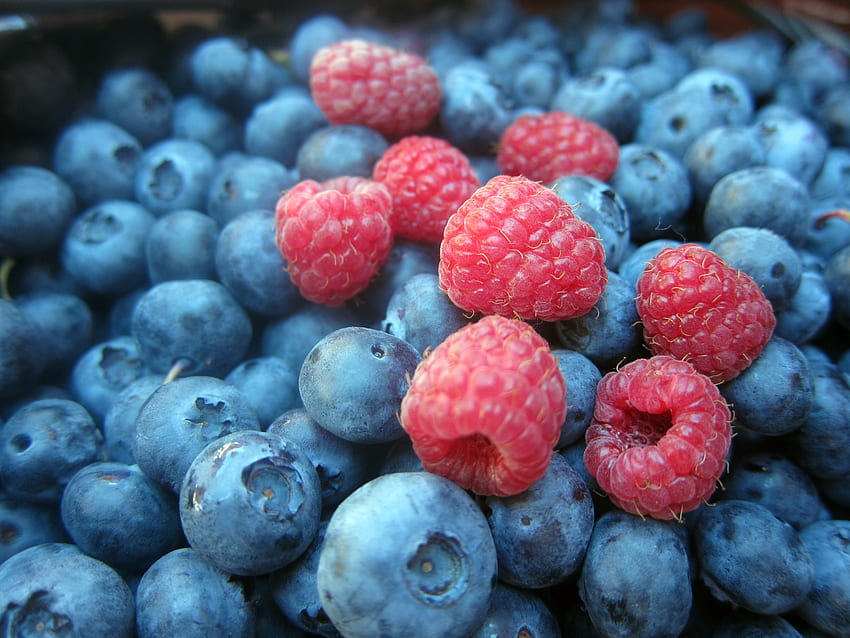 Makanan, Raspberry, Bilberry, Berries Wallpaper HD