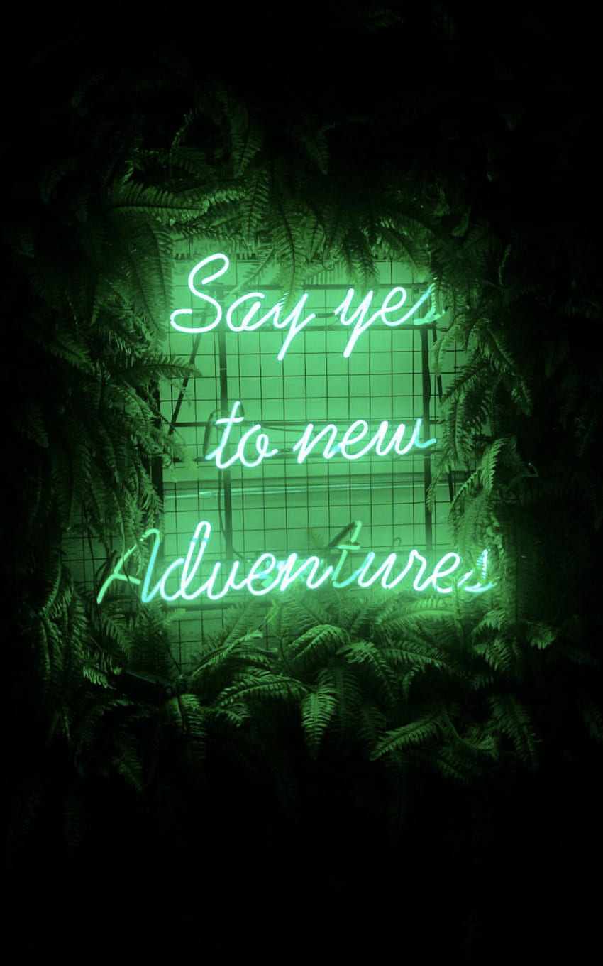 Meryem Yldz on Phone Green Dark [] for your , Mobile & Tablet. Explore Aesthetic Lights. Aesthetic Lights, Lights , Aesthetic, Green Witch Aesthetic HD phone wallpaper