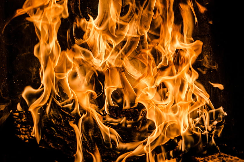 火、たき火、炎、その他、その他、薪、燃焼 高画質の壁紙