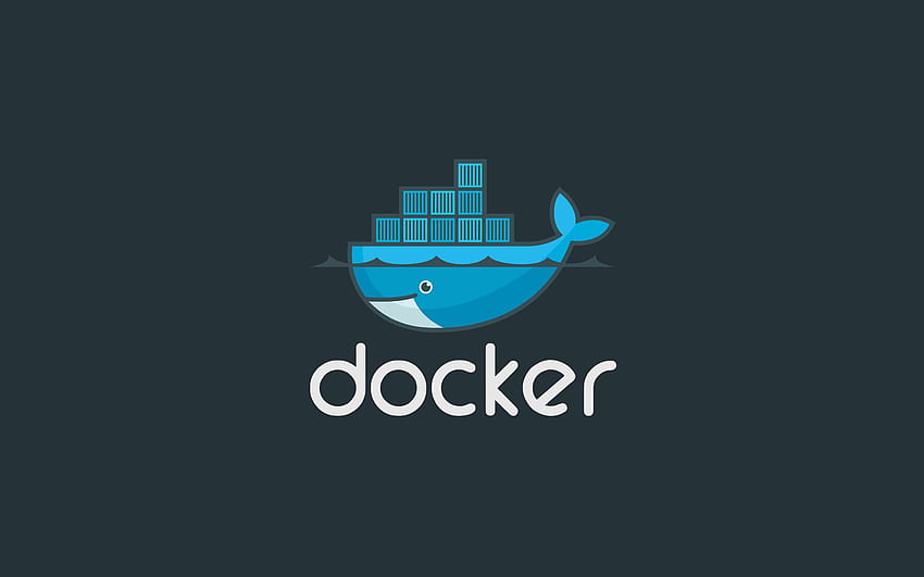liman işçisi Docker , Docker Arka Planını Çalıştır ve Golang HD duvar kağıdı