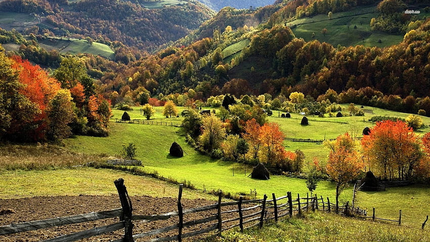 Country Fields, grama, país, laranja, montanha, vida, cerca, campos, árvores, outono, estrada, natureza papel de parede HD