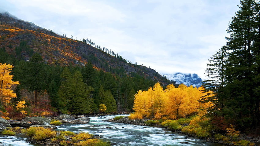 Wenatchee River near Leavenworth, Washington, landscape, autumn, trees, colors, mountains, stream, usa HD wallpaper