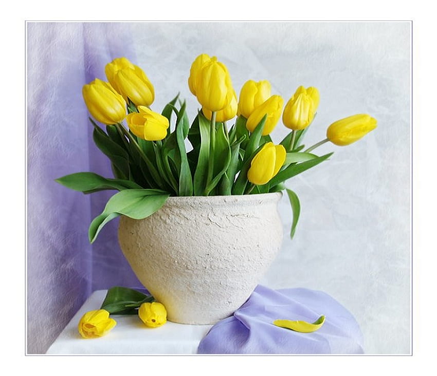 Friendship blooms, vase, beautiful, tulips, silk, petals, yellow, flowers, friendship, blooms HD wallpaper