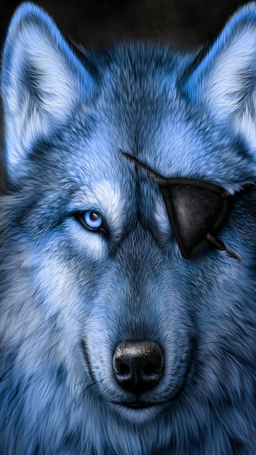 หมาป่าสีน้ำเงิน ตาหมาป่าสีน้ำเงิน วอลล์เปเปอร์โทรศัพท์ HD