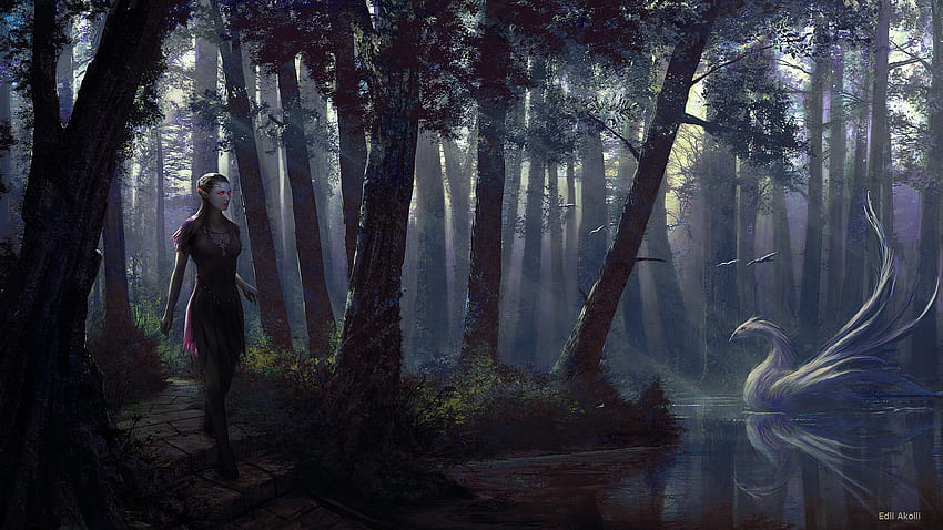 Forest Dark Fantasy Art - -, Dark Enchanted Forest HD wallpaper