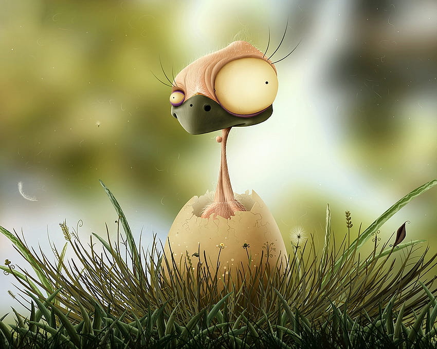 nestling, egg, bird, chiken, funny, where are you, mama HD wallpaper