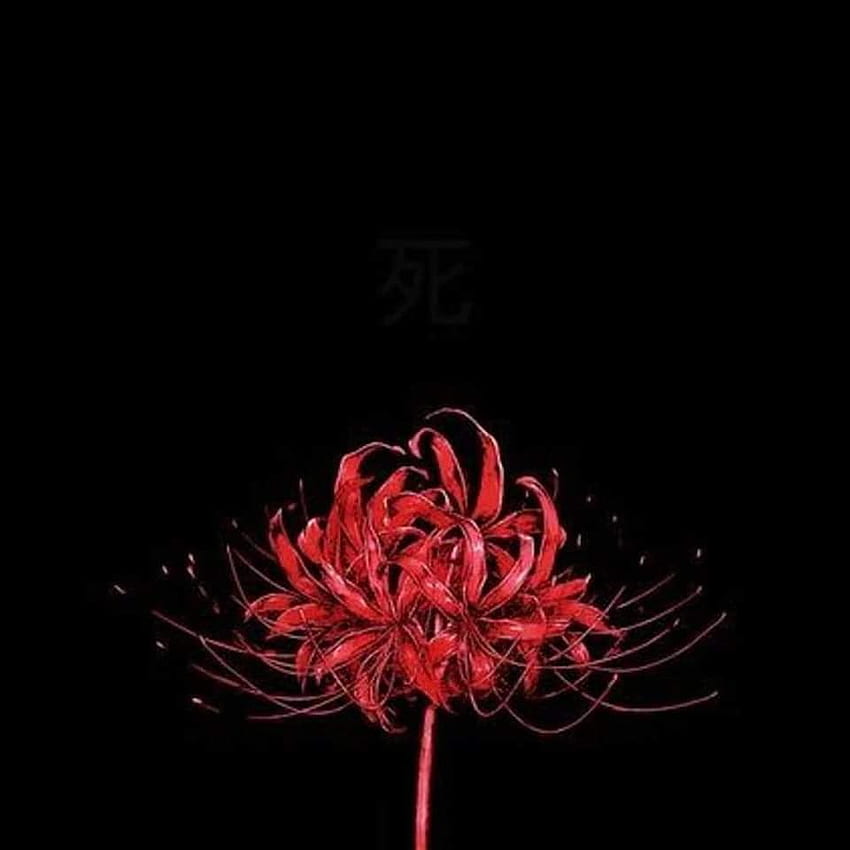 5120x2880px, 5K Free download Studio Ghibli Japan's flower of death