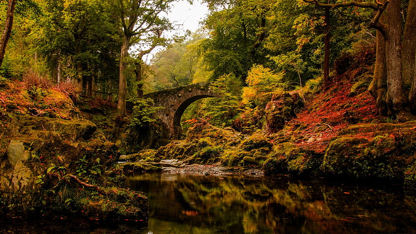 秋のフォーリーの橋 F1、風景、ワイドスクリーン、グラフィック、橋、秋、美しい、自然、 高画質の壁紙