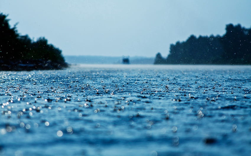 Nature, Water, Rain, Drops, Surface, Precipitation HD wallpaper