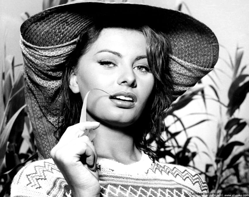 Sophia Loren On Stage Sophia Loren On Hd Wallpaper Pxfuel | The Best ...