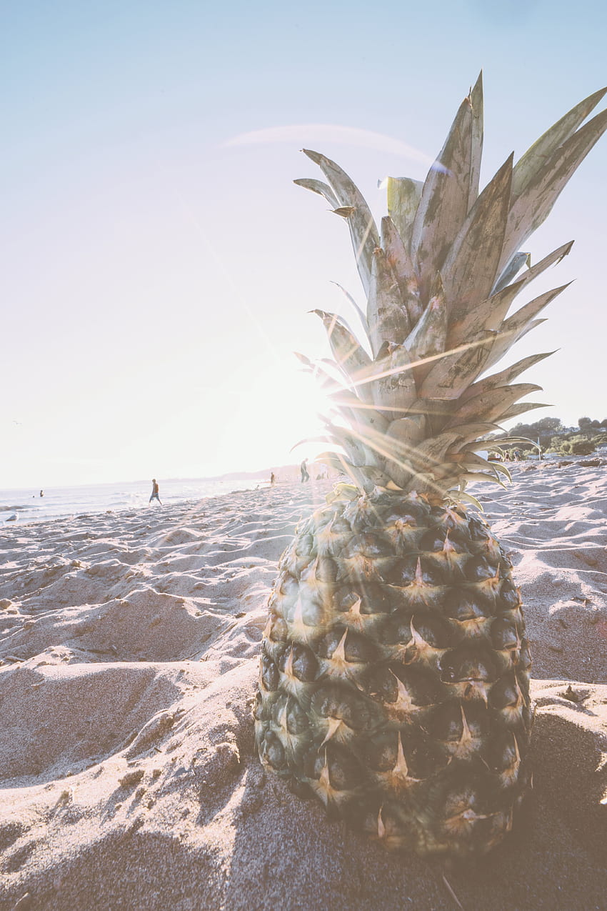 Pineapple In Gray Sand During Daytime - Stock, Pineapple Beach HD phone wallpaper